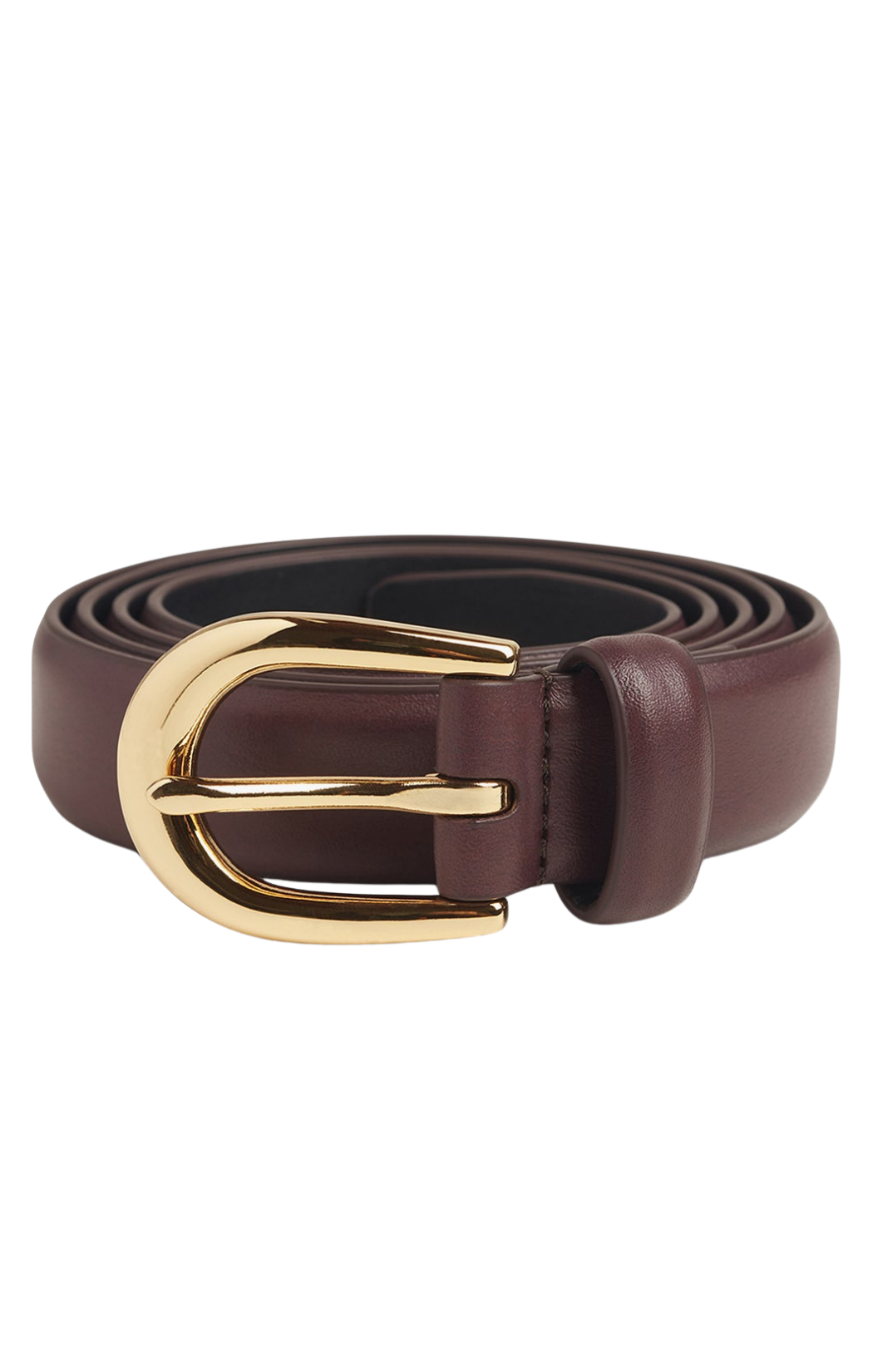 Brown belt with a gold buckle on a white background