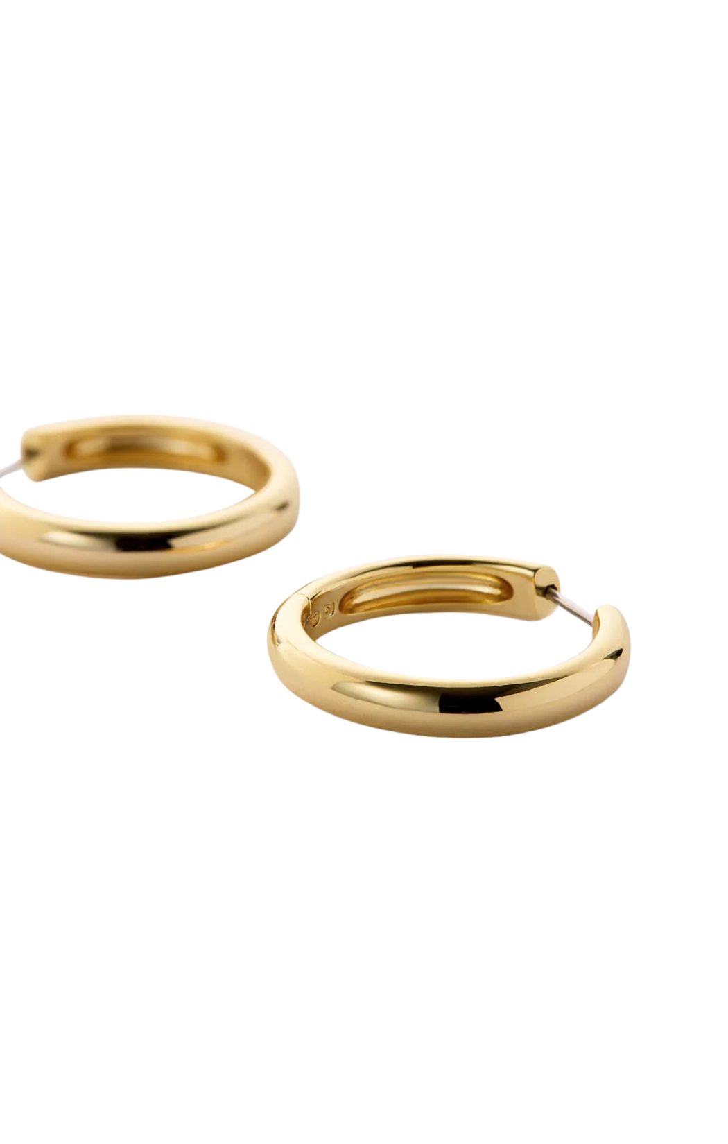 Giulia Medium Hoop Earrings