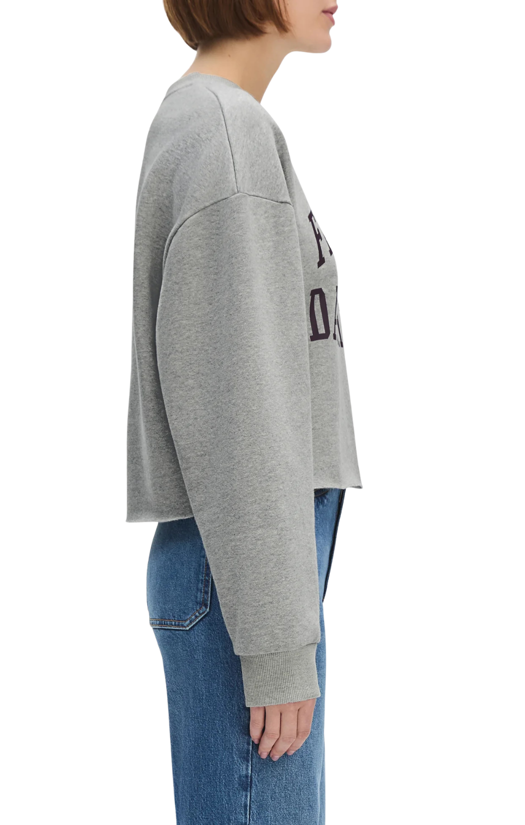 Cropped Collegiate Sweatshirt