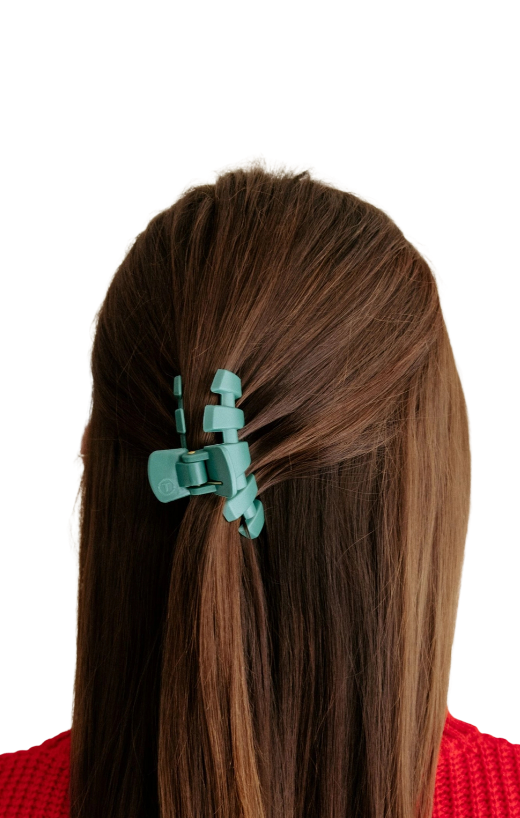 Classic Hair Clip Small Fir Real